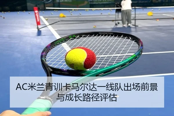 img_1780178151156_2924_1_743.jpg